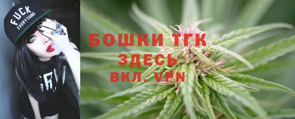 бошки Богородицк
