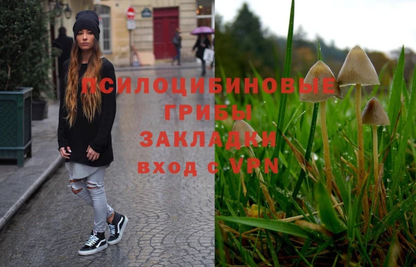 бошки Богородицк
