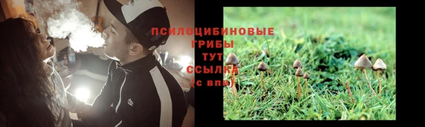 синтетический гашиш Богданович