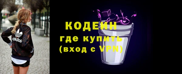 гашик Сясьстрой