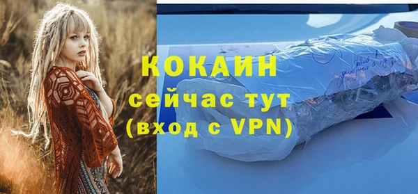 бошки Богородицк