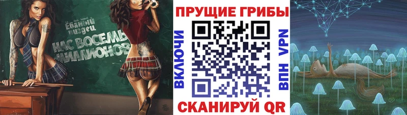 Галлюциногенные грибы мицелий  Кашин 
